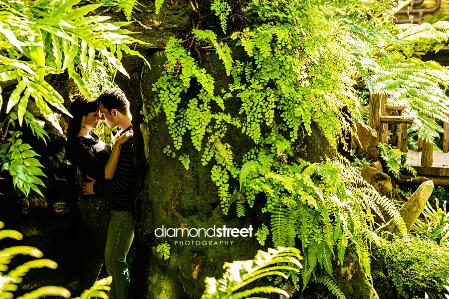 Engagement photos at Morris Arboretum