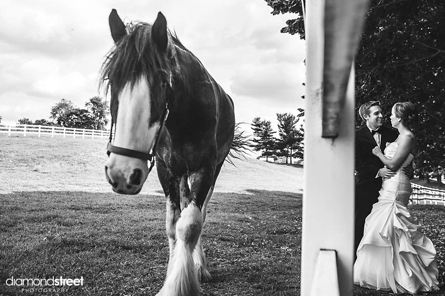 laurajohnwed-34