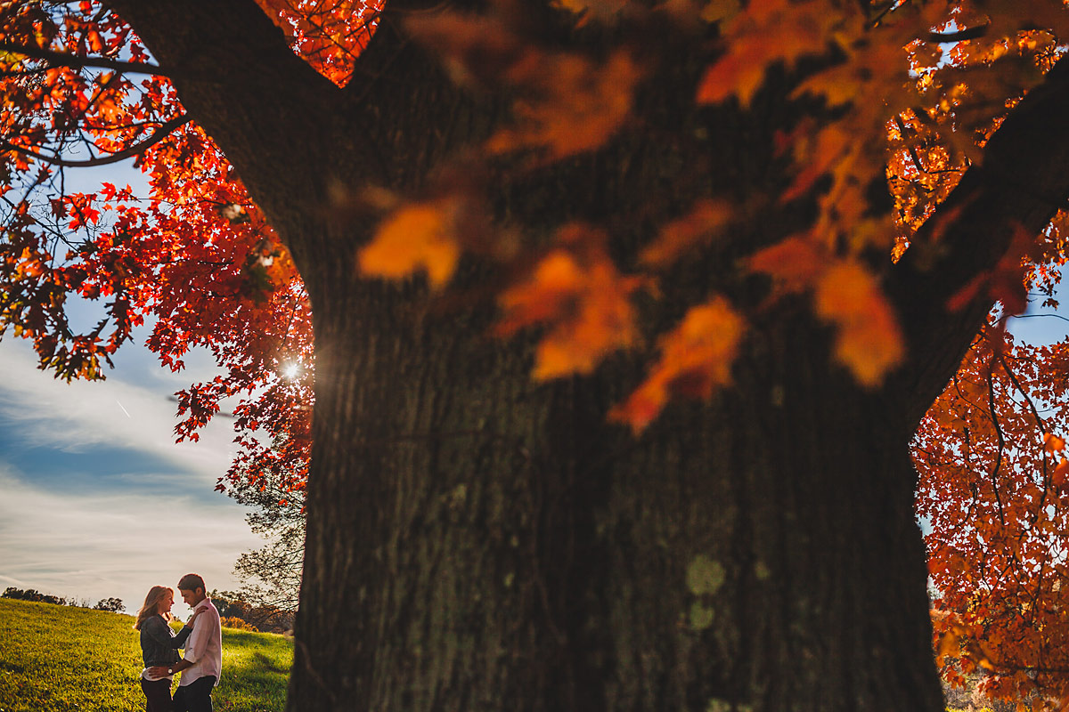 Stroud-Preserve-Engagement-Pictures-red-tree