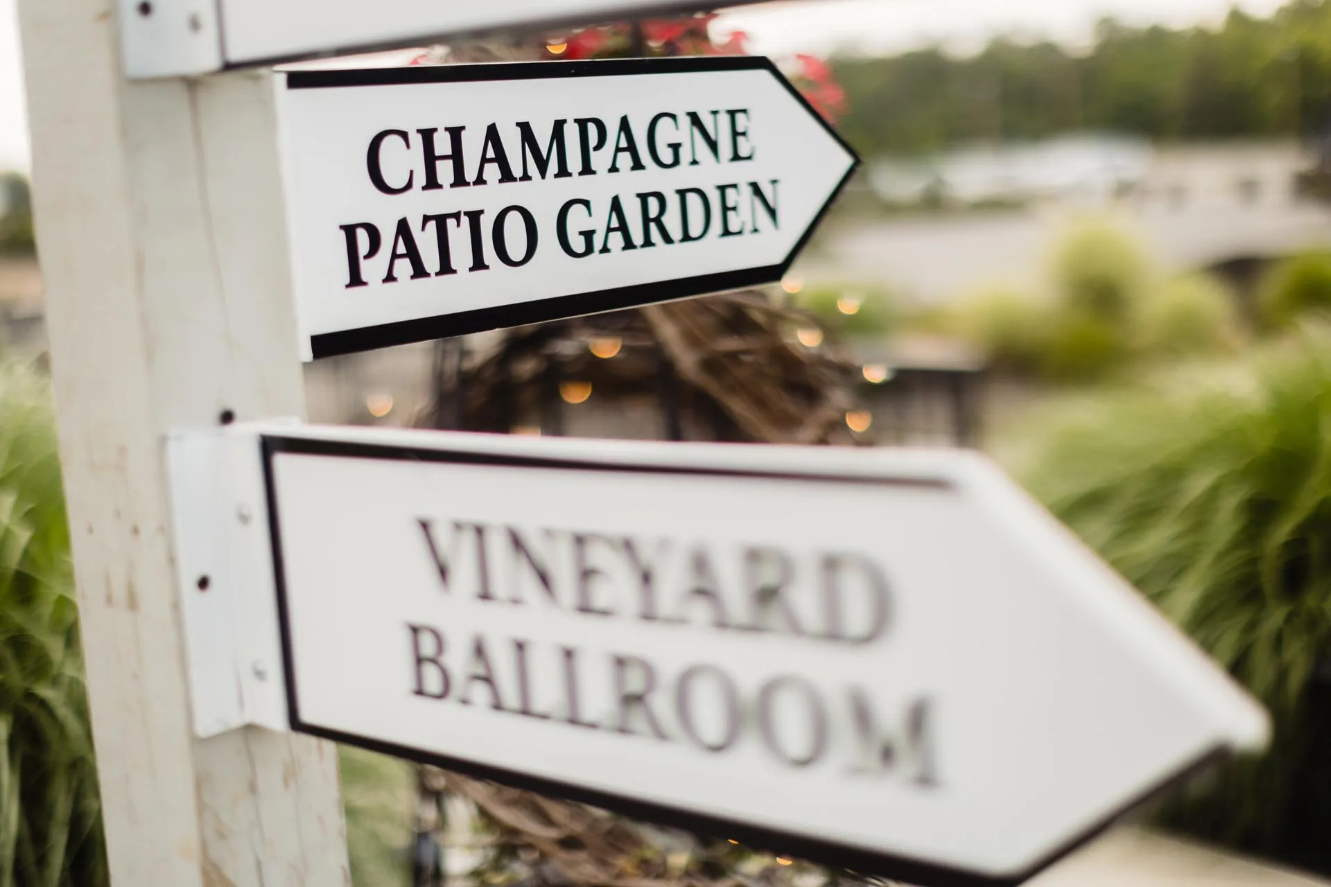 Renault winery wedding B J-57