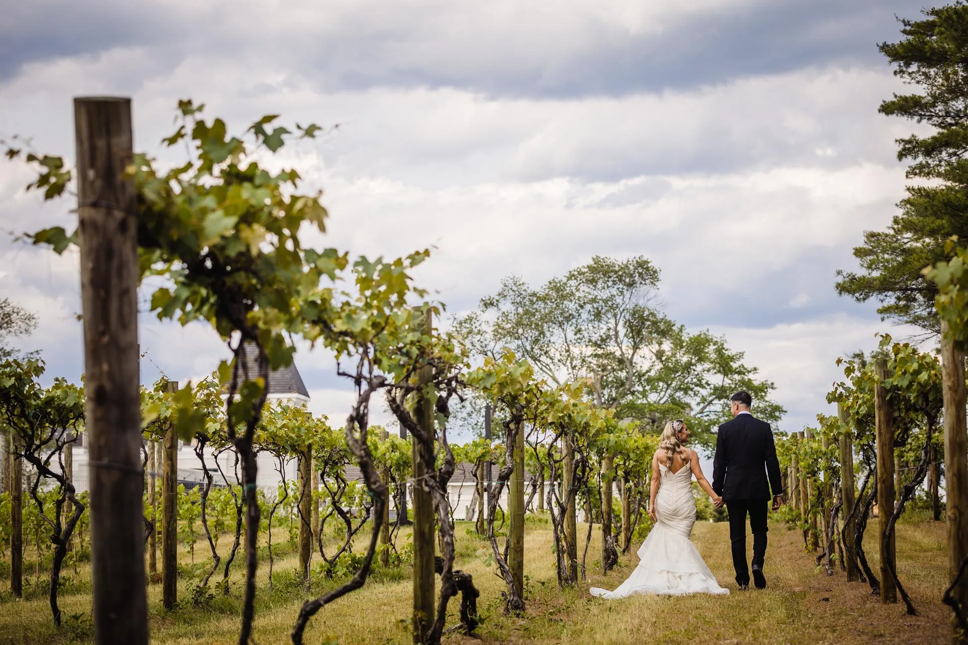 Renault winery wedding B J-813