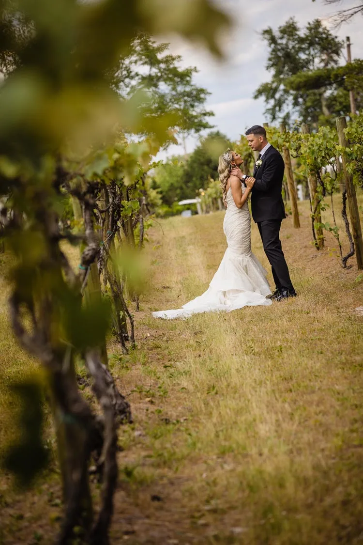 Renault winery wedding B J-824