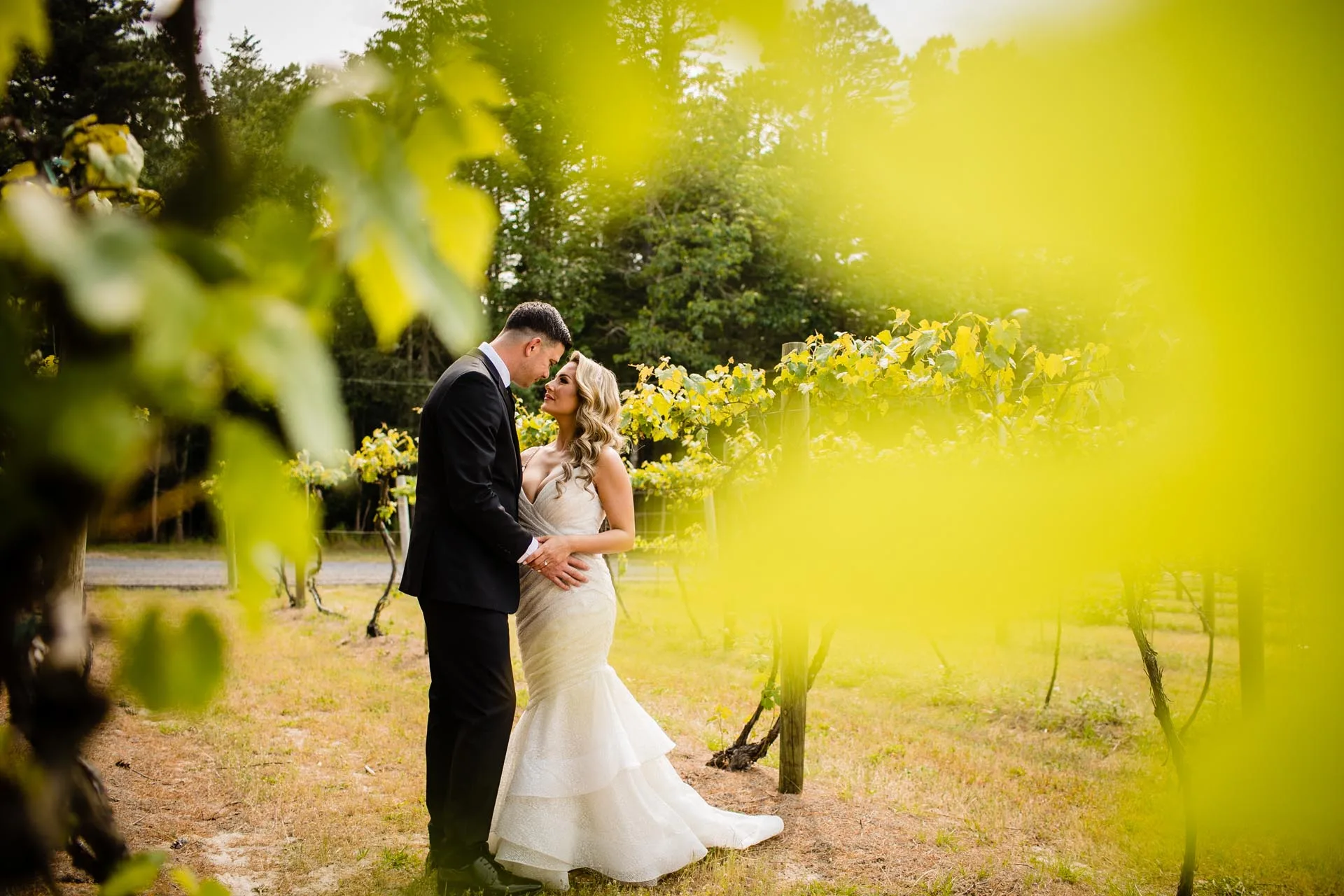 Renault winery wedding B J-854