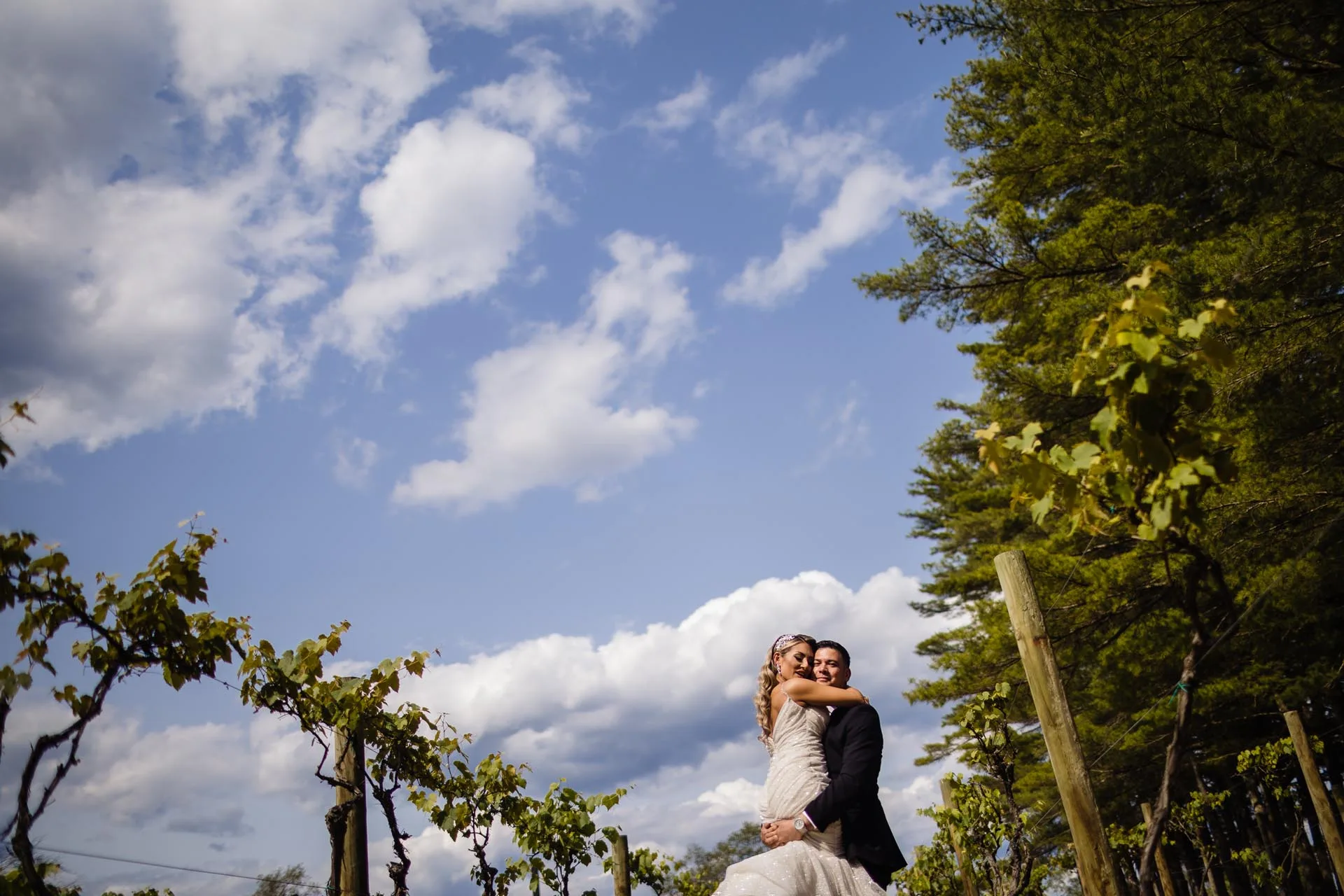 Renault winery wedding B J-901