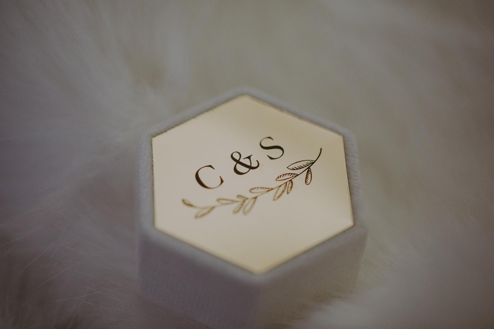 finley catering union trust wedding photographers-9