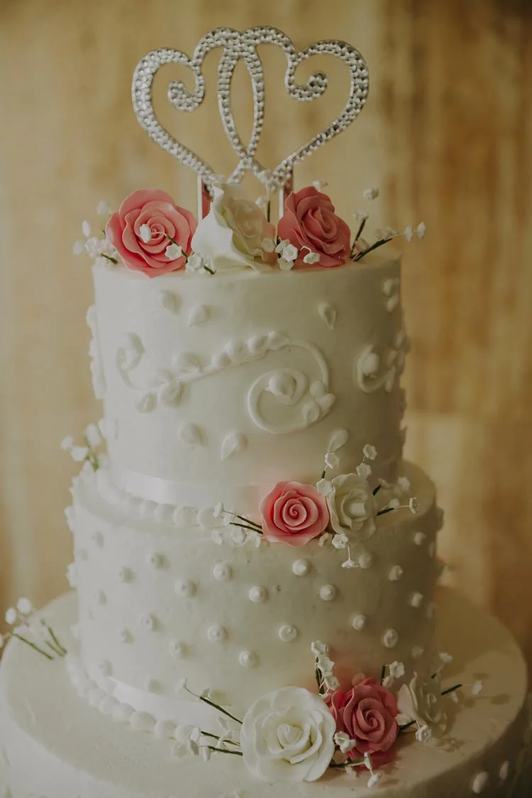 JASNA POLANA wedding photographers-2 (66)