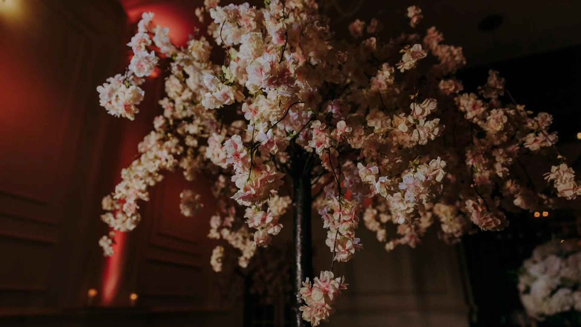 cescaphe ballroom wedding photographers-157