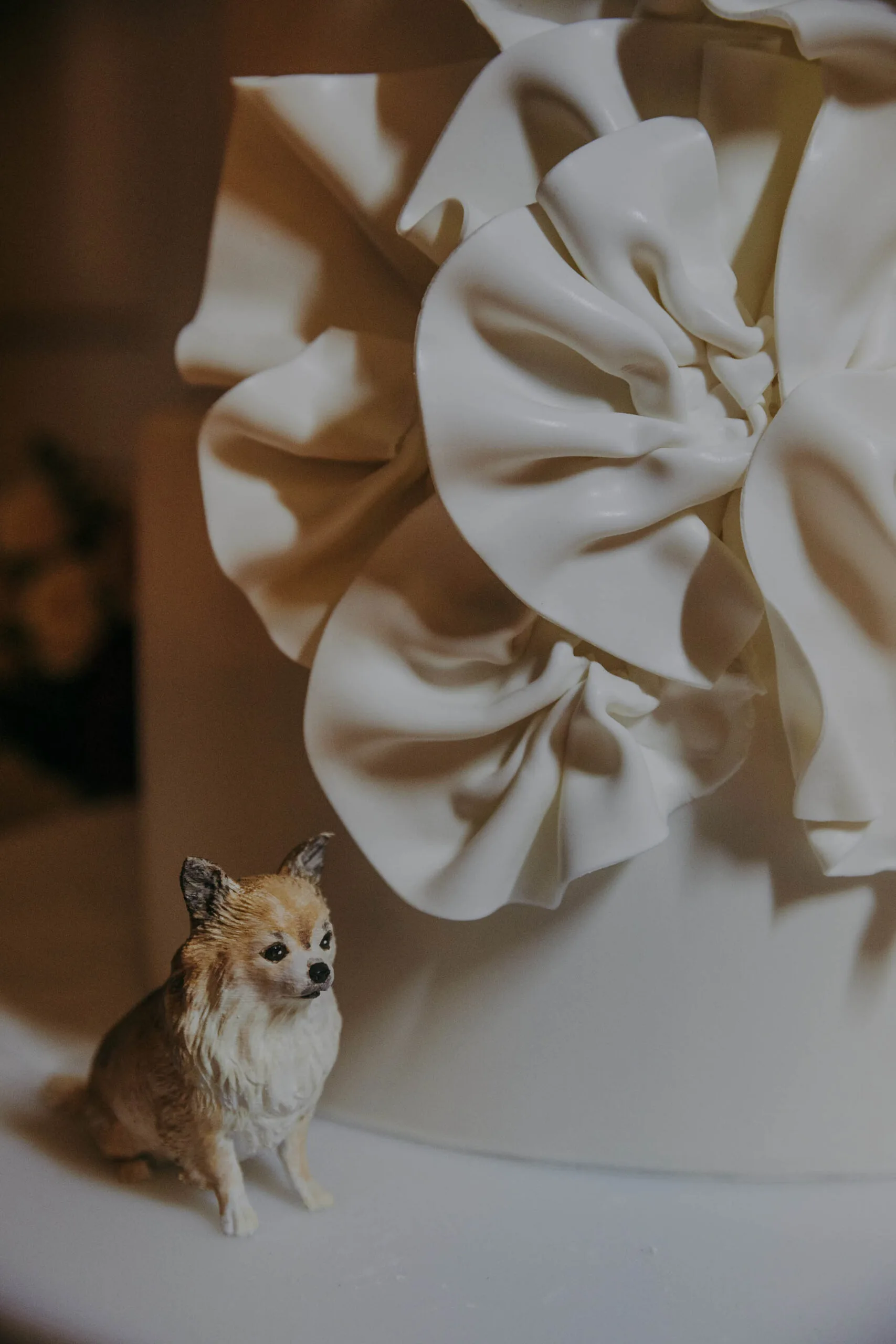 cescaphe the lucy wedding photographers-157