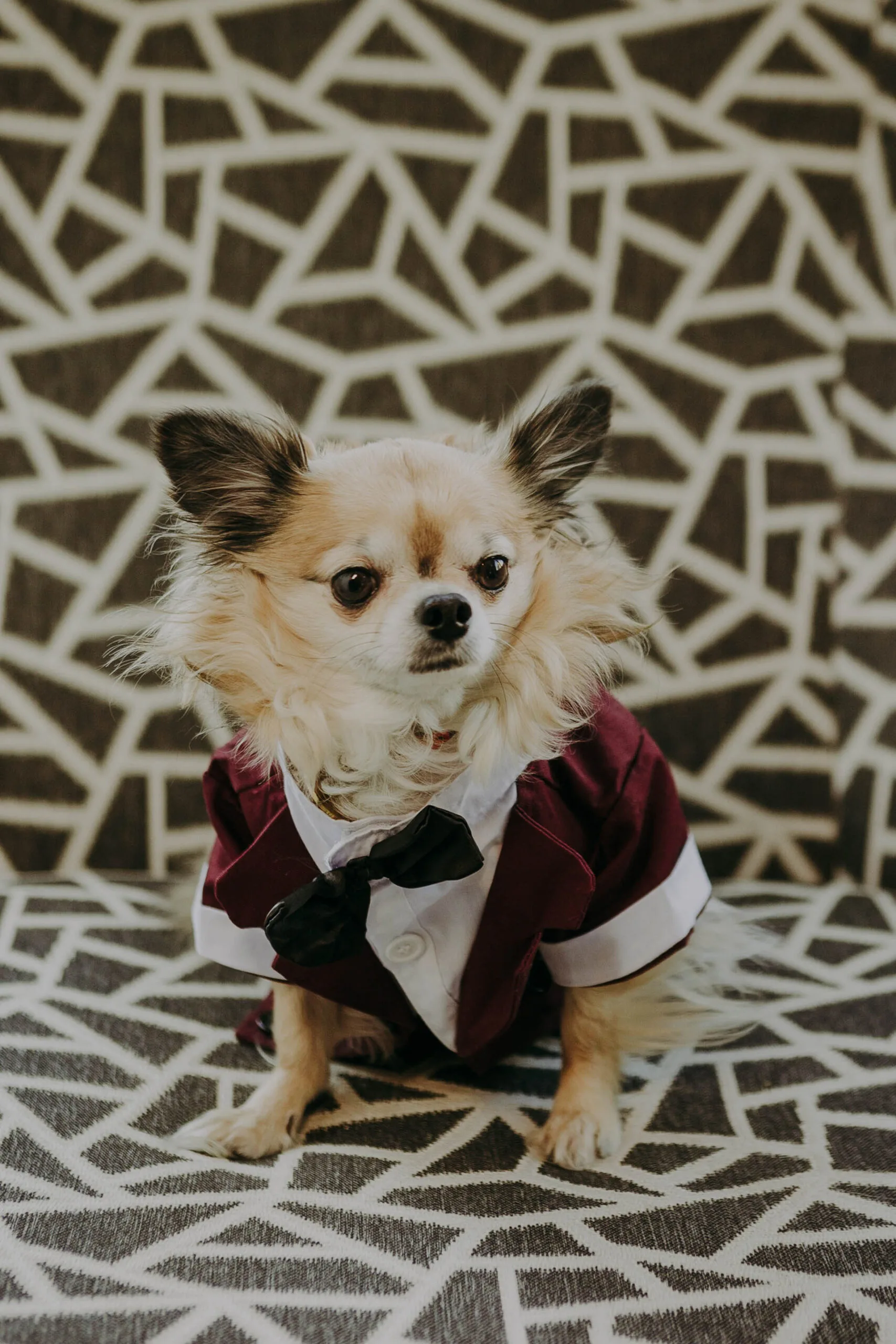 cescaphe the lucy wedding photographers-16