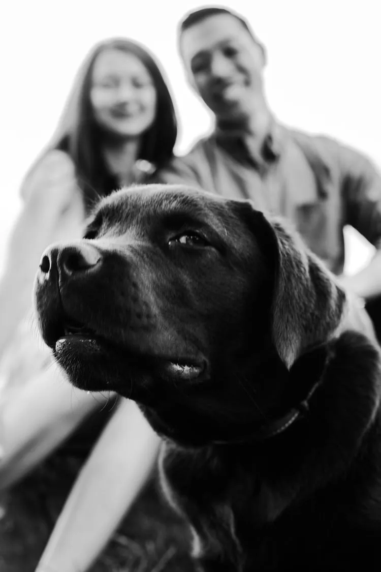 horticultural center wedding photographers-1-22