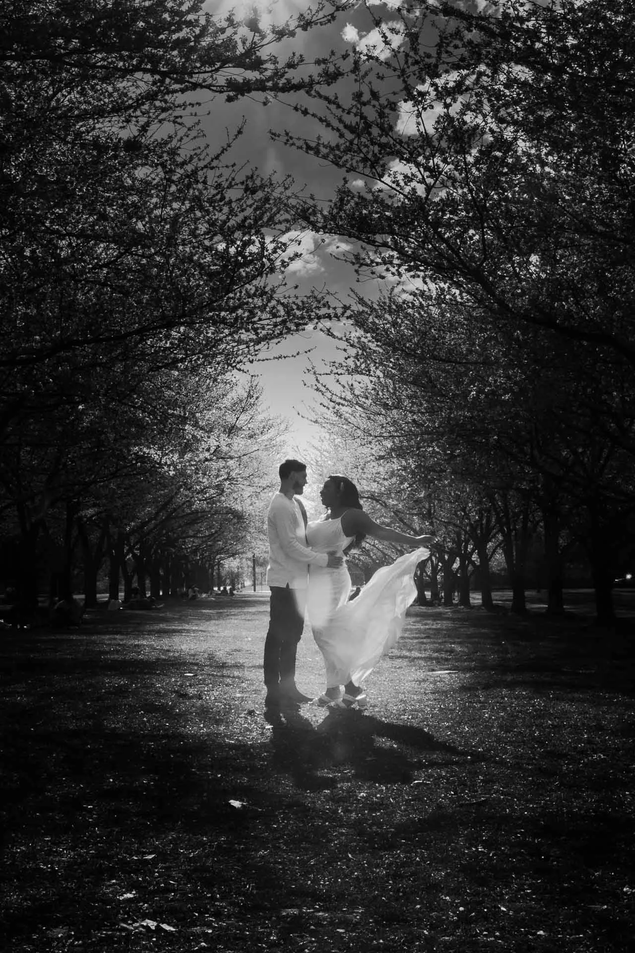 Horticultural Center wedding photographer pathway