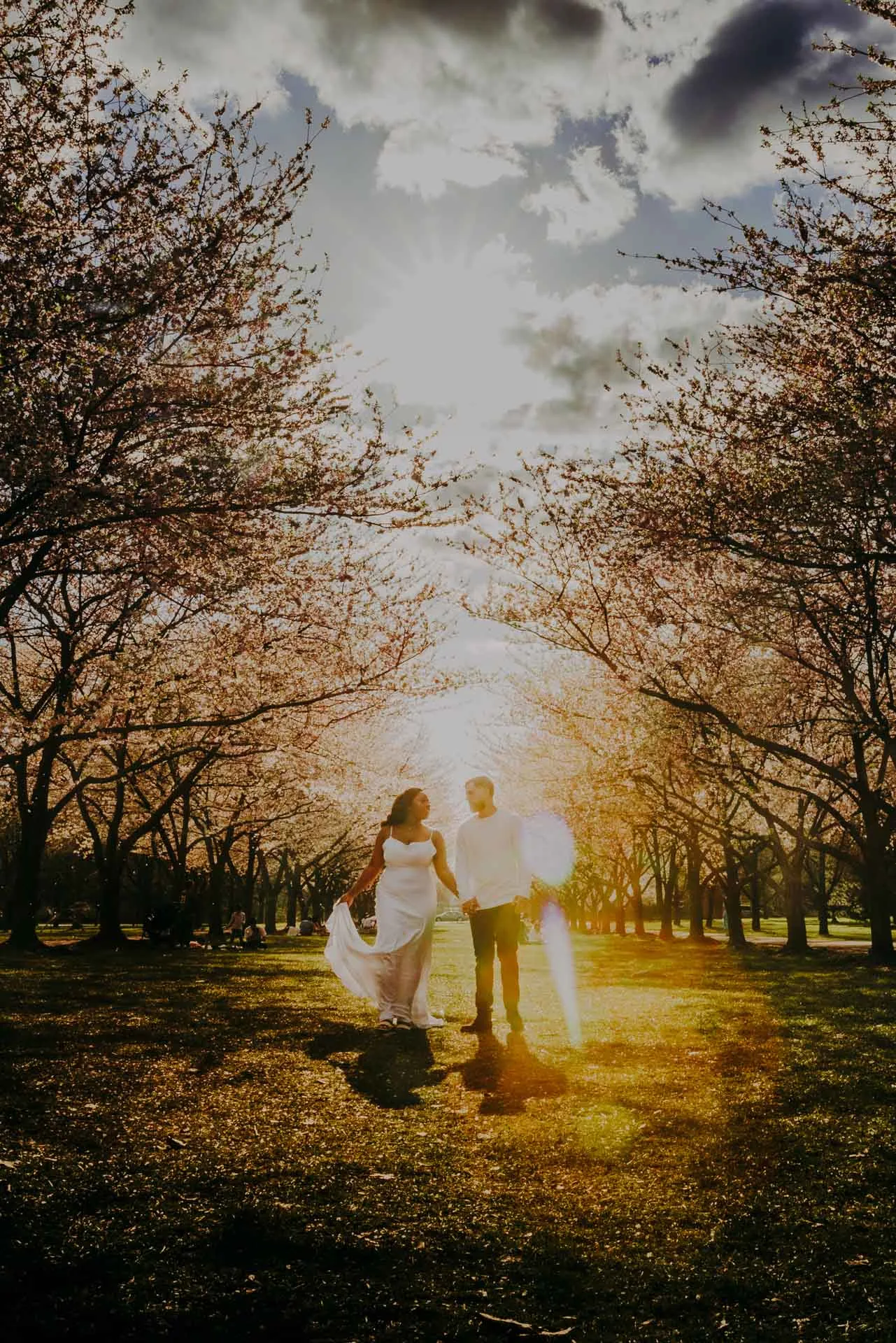 Horticultural Center wedding photographer tree lined area