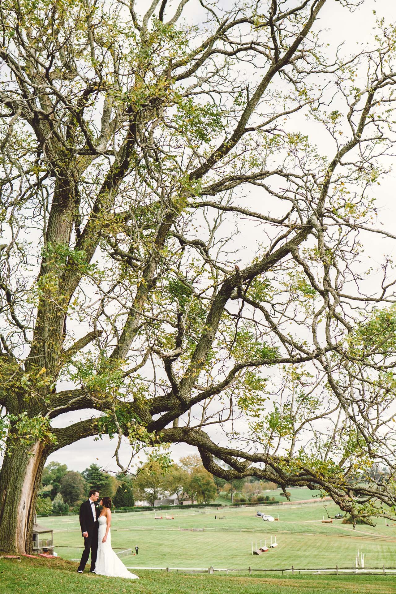 Radnor Huntr wedding photographer tree